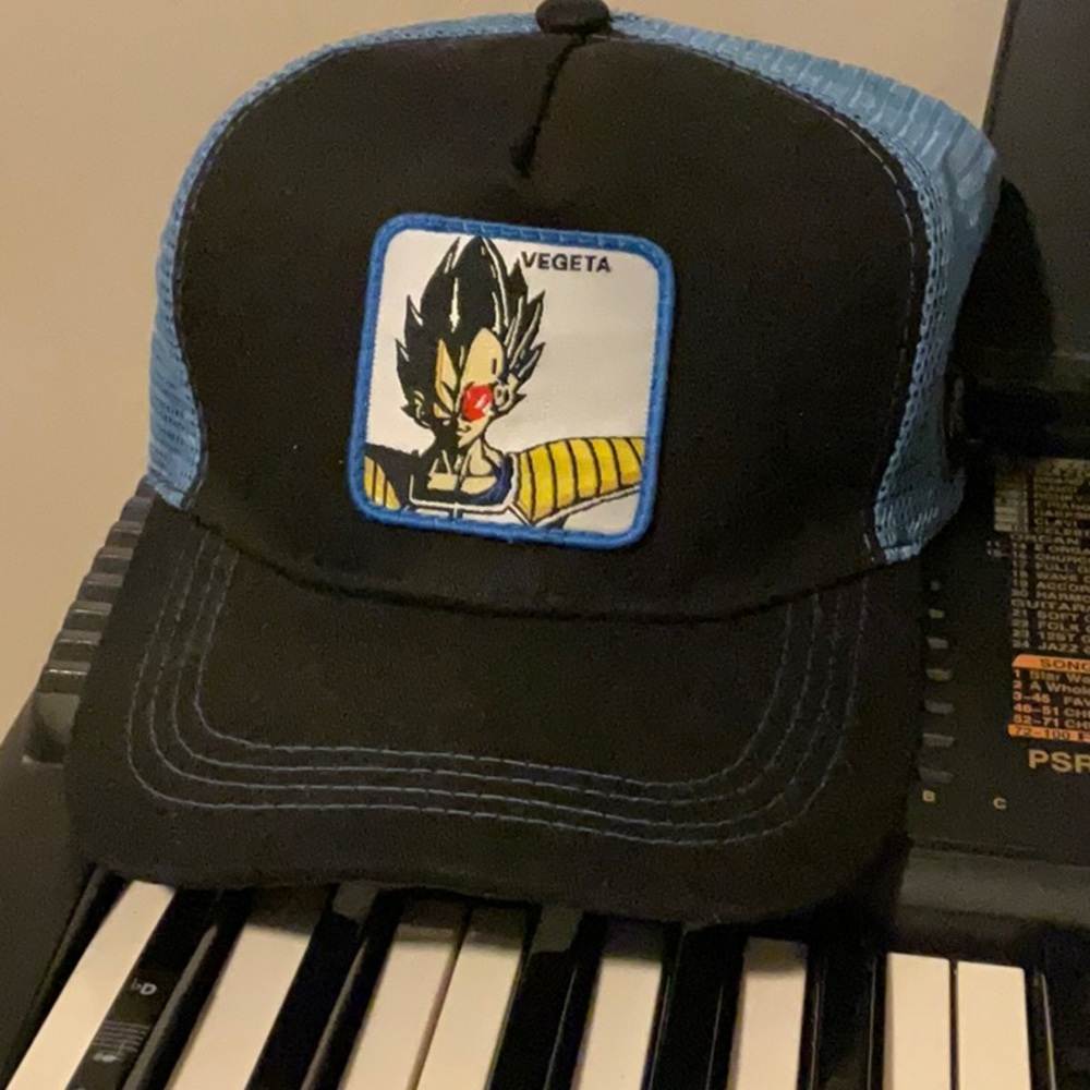Vegeta Snap Back